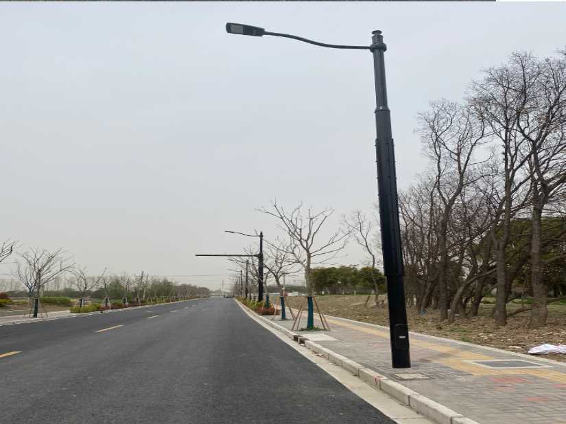 马尾区上海综合杆 太阳能路灯工程